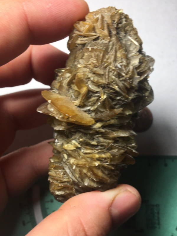 Large Winnipeg Gypsum Selenite Crystal Cluster Rose Canada Natural