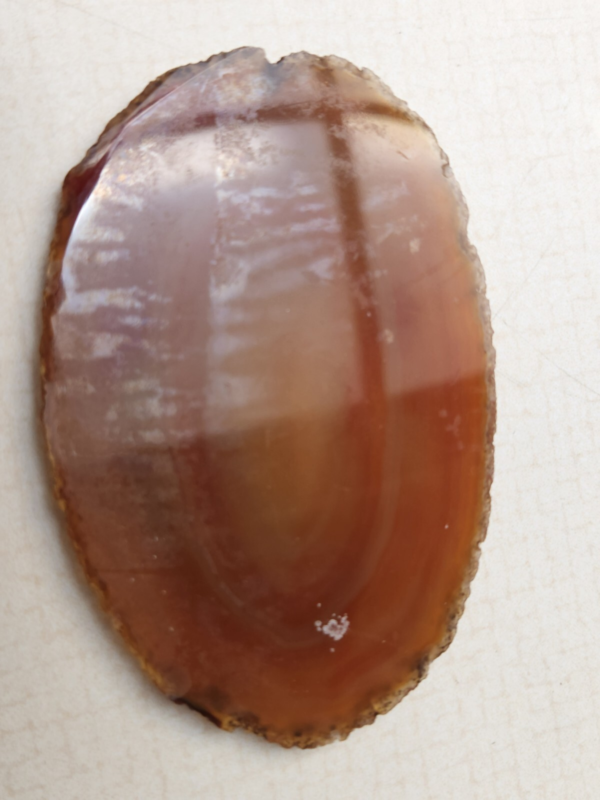 Lot 5:  Agate Slices, Small Fossil Nodule, Orthoceras Fossil, White gypsum Rocks