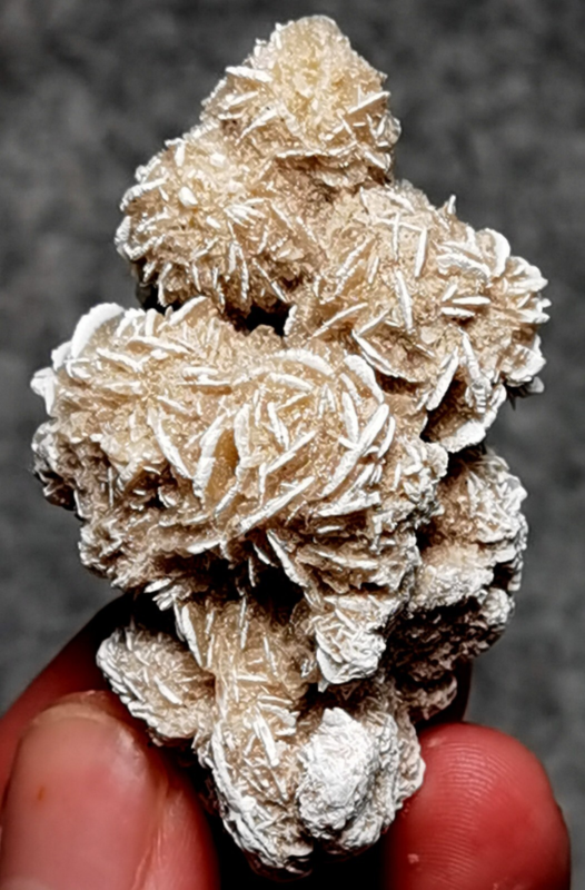 45 Gram Gypsum Selenium Stone Rose Adenium Obesum Sand Rose Namibia Desert