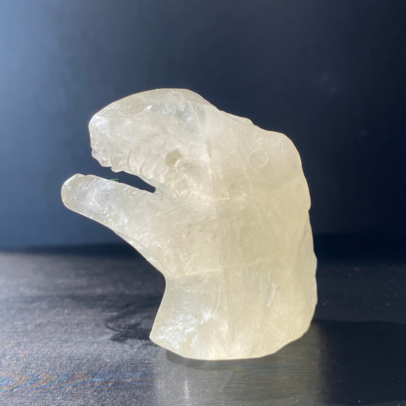 102Gram Natural Citrine Quartz Hand Carved Crystal Dinosaur Skull Healing