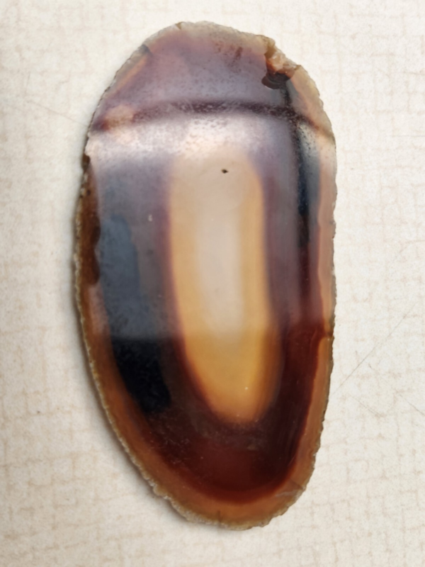 Lot 5:  Agate Slices, Small Fossil Nodule, Orthoceras Fossil, White gypsum Rocks