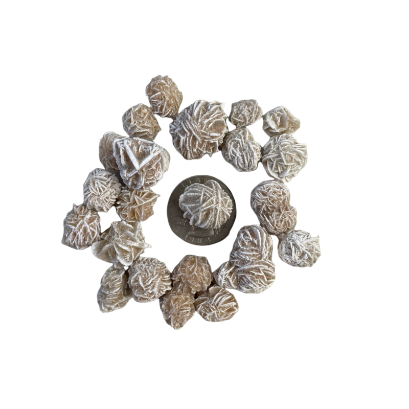 50g Mini Desert Rose Sand Selenite Gypsum Gemstone Crystal Rock Baryte Specimens