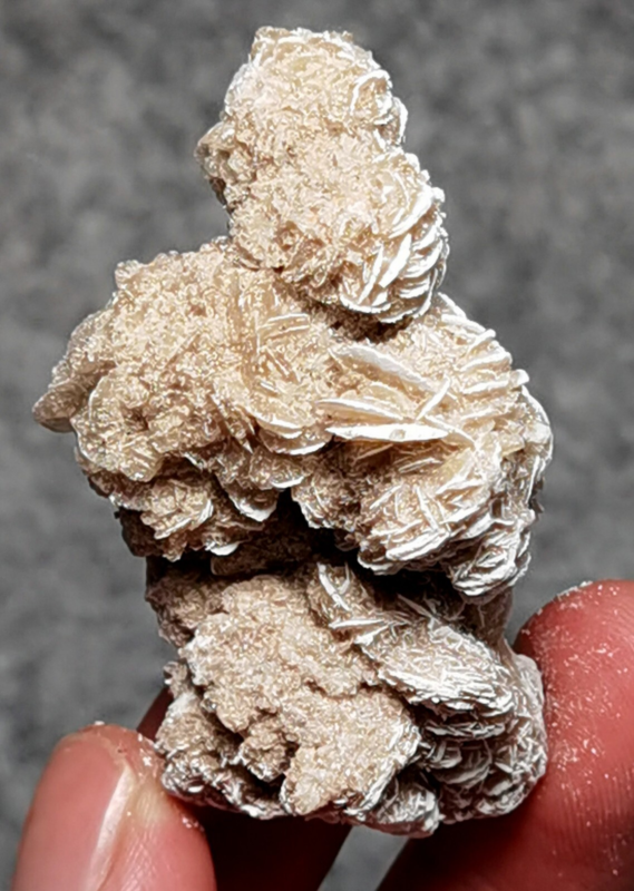 45 Gram Gypsum Selenium Stone Rose Adenium Obesum Sand Rose Namibia Desert