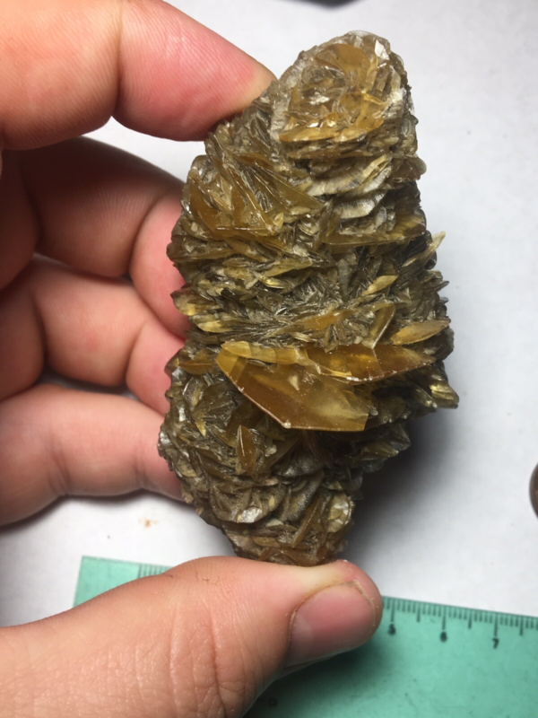 Large Winnipeg Gypsum Selenite Crystal Cluster Rose Canada Natural