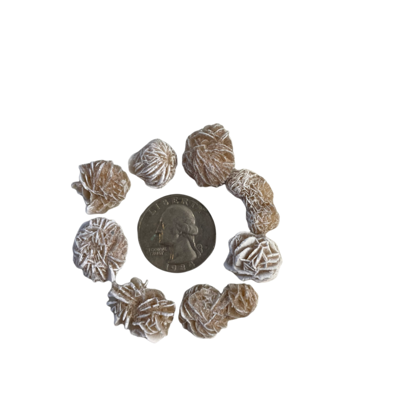 25g Mini Desert Rose Sand Selenite Gypsum Gemstone Crystal Rock Baryte Specimens