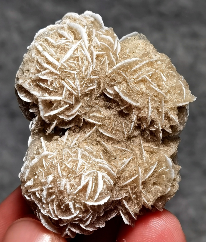 35g Gypsum Selenite Rose Desert Rose Sand Rose Namib Desert Namibia