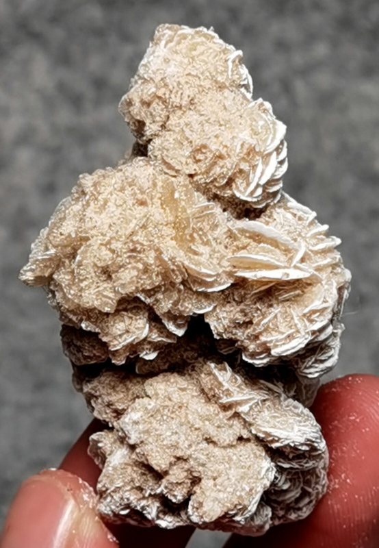 45 Gram Gypsum Selenium Stone Rose Adenium Obesum Sand Rose Namibia Desert