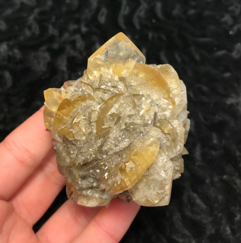 Gypsum var. Selenite 1F196 Canada Crystal Mineral Specimen