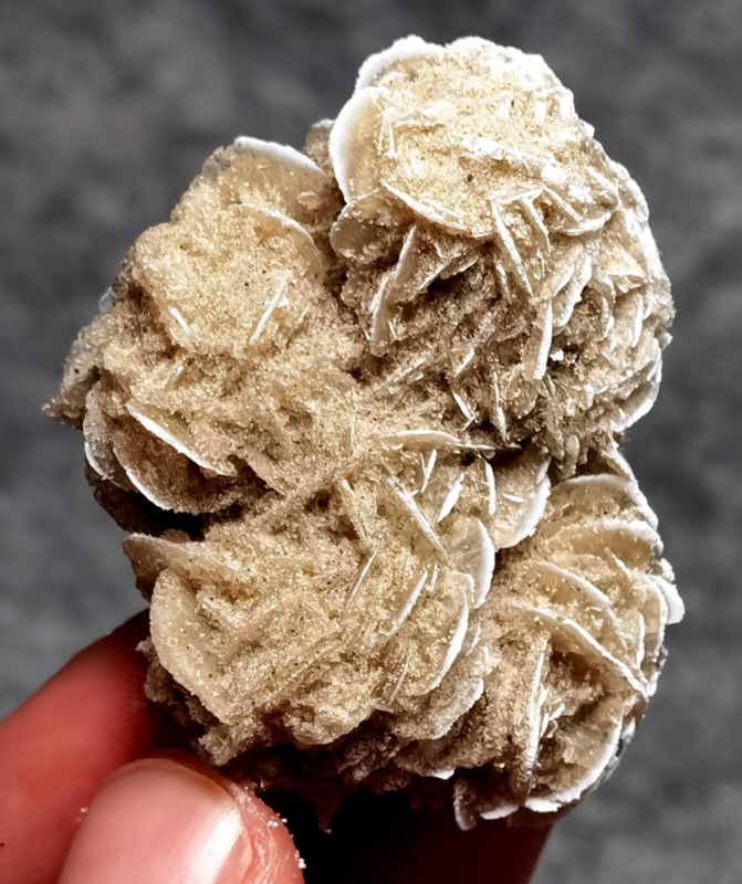 35g Gypsum Selenite Rose Desert Rose Sand Rose Namib Desert Namibia