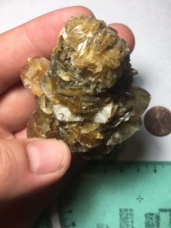 Large Winnipeg Gypsum Selenite Crystal Cluster Rose Canada Natural