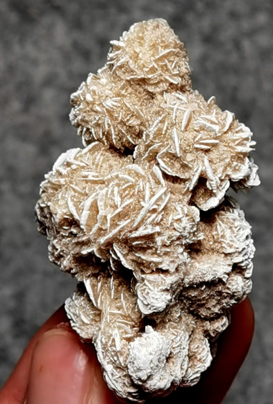 45 Gram Gypsum Selenium Stone Rose Adenium Obesum Sand Rose Namibia Desert
