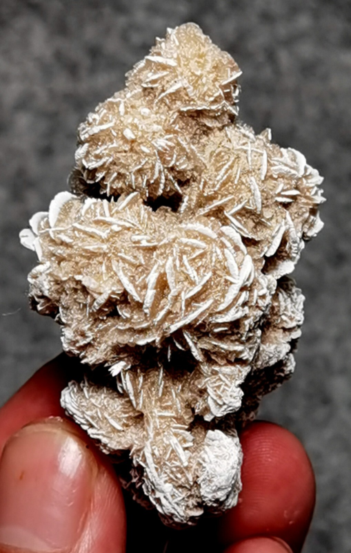 45 Gram Gypsum Selenium Stone Rose Adenium Obesum Sand Rose Namibia Desert