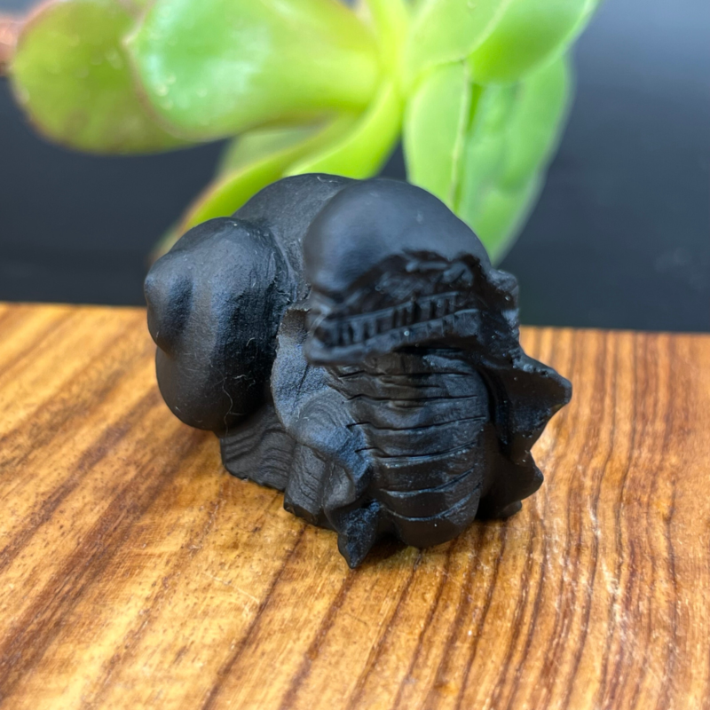 57g Natural crystal Obsidian Snail Grimace Animal carving reiki healing Gem Gift