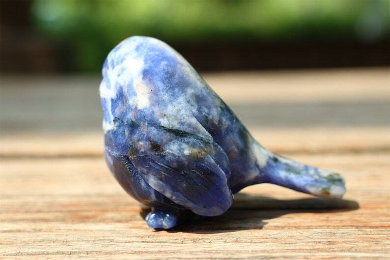 2.4" Natural Sodalite Carved bird Reiki Creative Crystal Skull decor gift 1pc