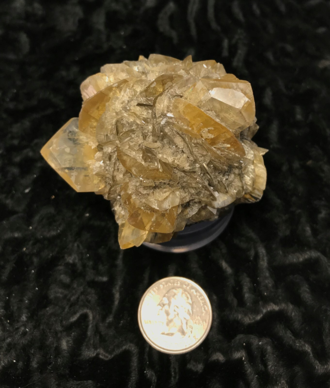 Gypsum var. Selenite 1F196 Canada Crystal Mineral Specimen