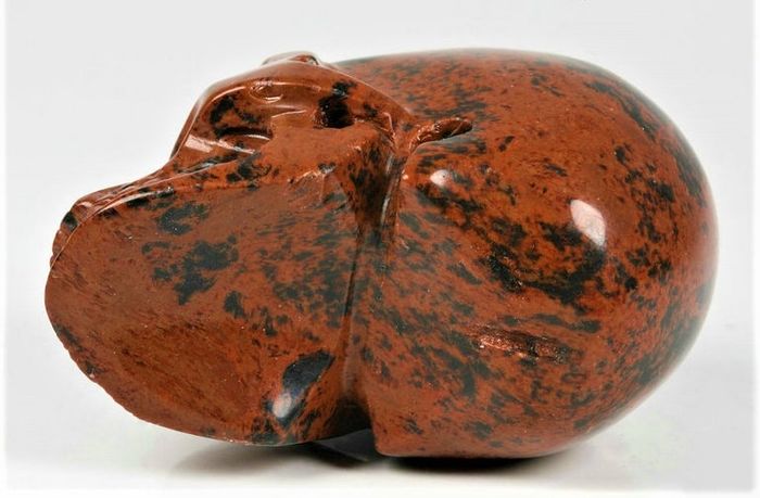 Beautiful rosewood Obsidian carved Skull