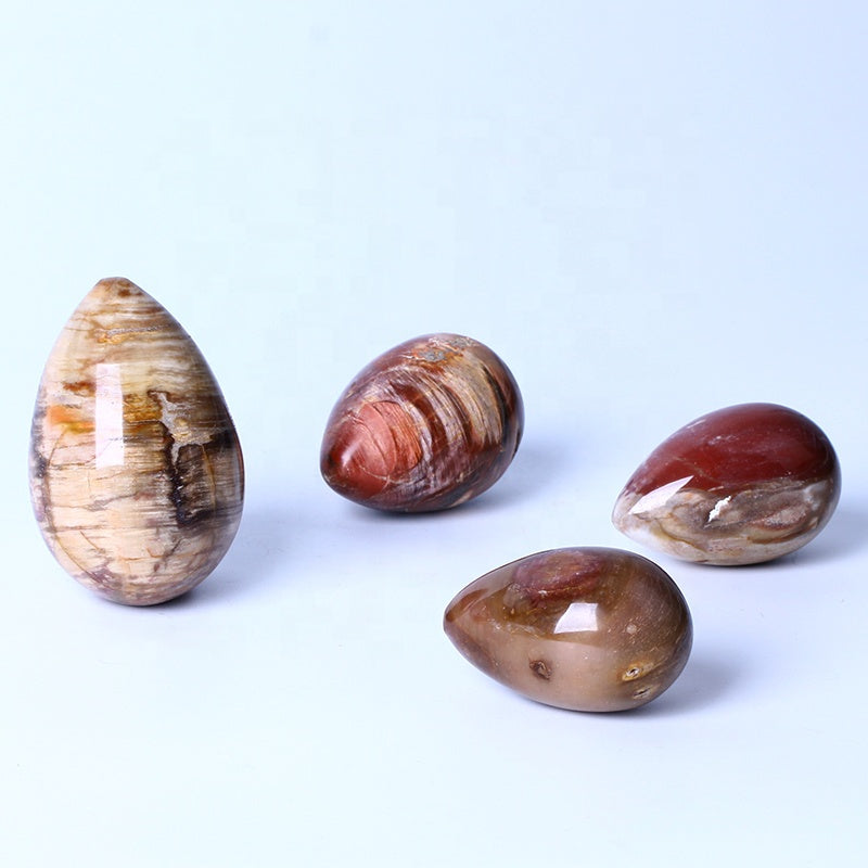 New arrival Healing Crystal Reiki Gemstone Collectible Decorative Petrified Wood Fossil Eggs For Gifts