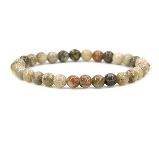 Venta al por mayor de piedra fósil de Coral Natural, gema hecha a mano, piedras preciosas semipreciosas, cuentas redondas de 6mm, pulsera elástica de 7 ", Unisex 