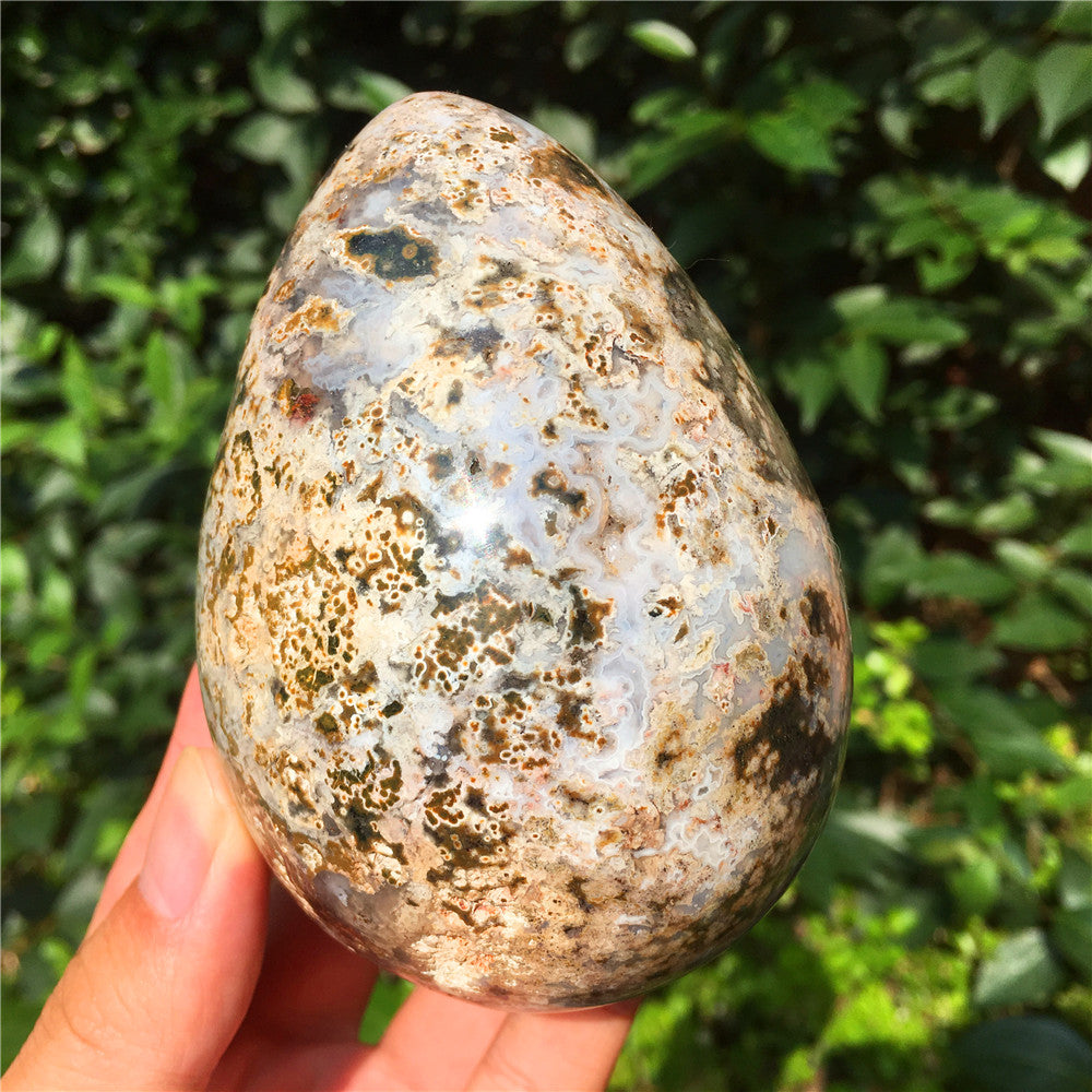 729G  Crystal carved egg of Ocean Jasper  F11