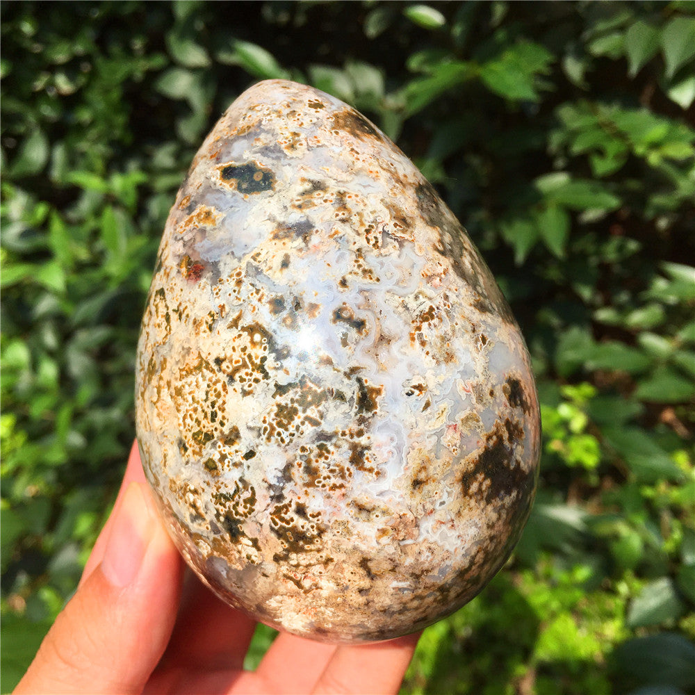 729G  Crystal carved egg of Ocean Jasper  F11