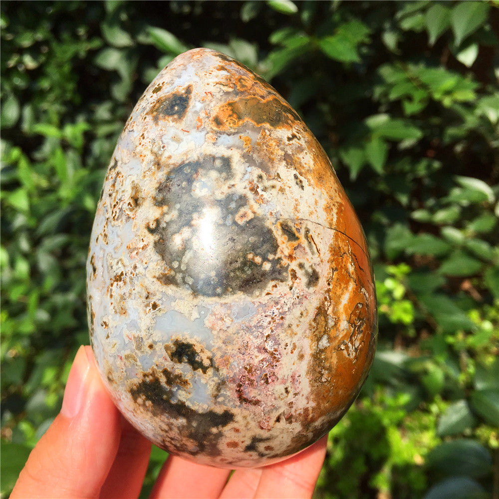 729G  Crystal carved egg of Ocean Jasper  F11