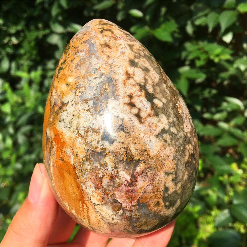 729G  Crystal carved egg of Ocean Jasper  F11