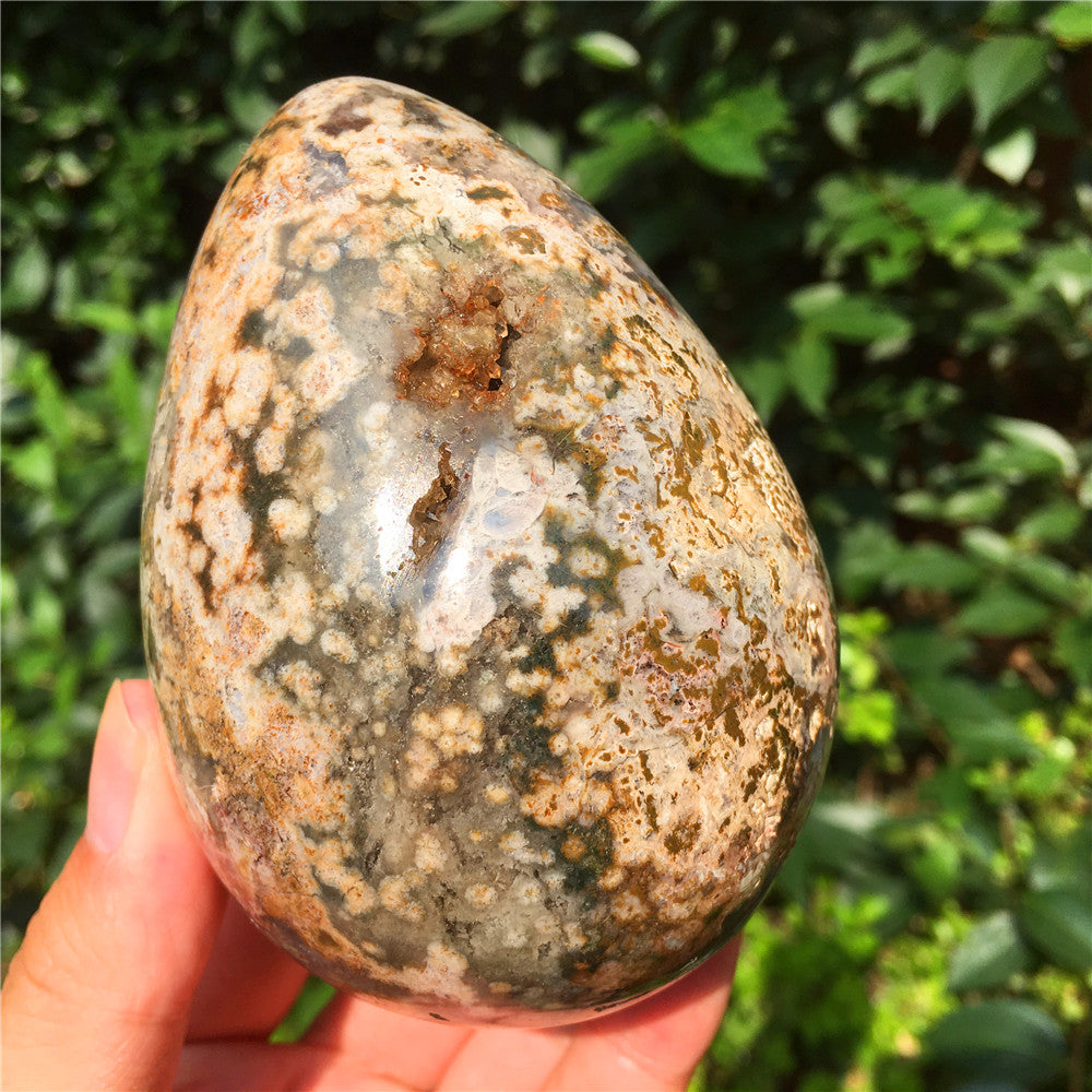 729G  Crystal carved egg of Ocean Jasper  F11