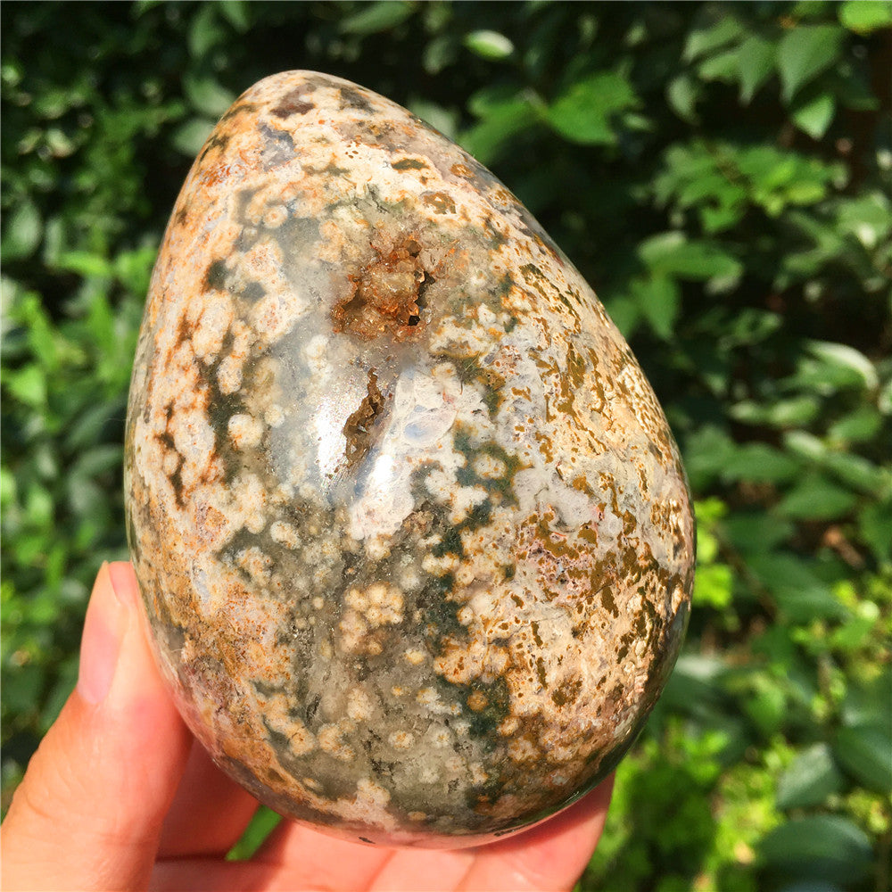 729G  Crystal carved egg of Ocean Jasper  F11