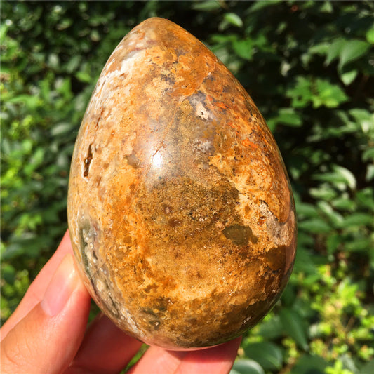 602G  Crystal carved egg of Ocean Jasper F5