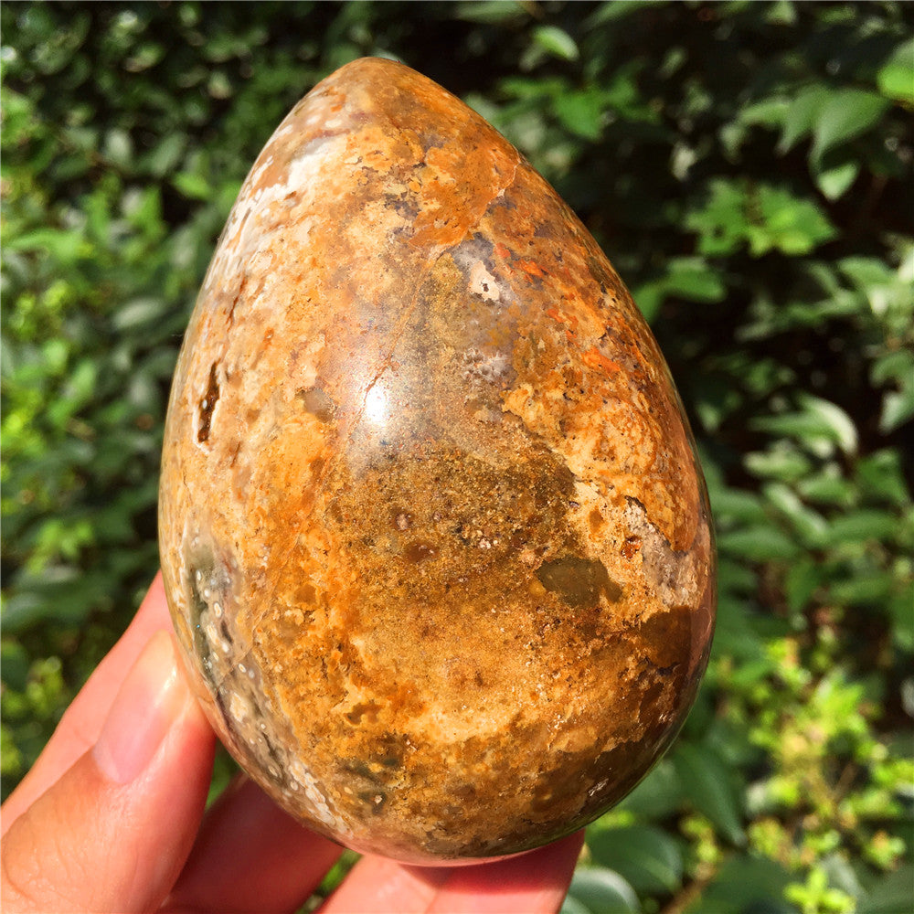 602G  Crystal carved egg of Ocean Jasper F5