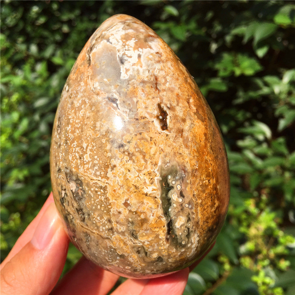 602G  Crystal carved egg of Ocean Jasper F5