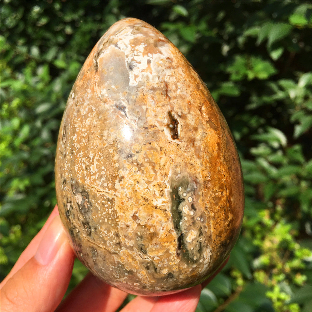 602G  Crystal carved egg of Ocean Jasper F5