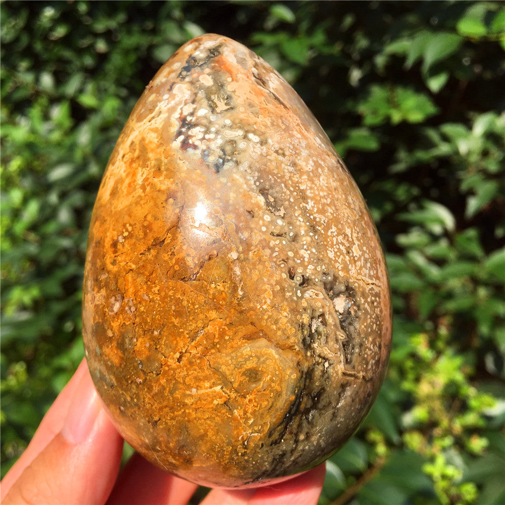 602G  Crystal carved egg of Ocean Jasper F5