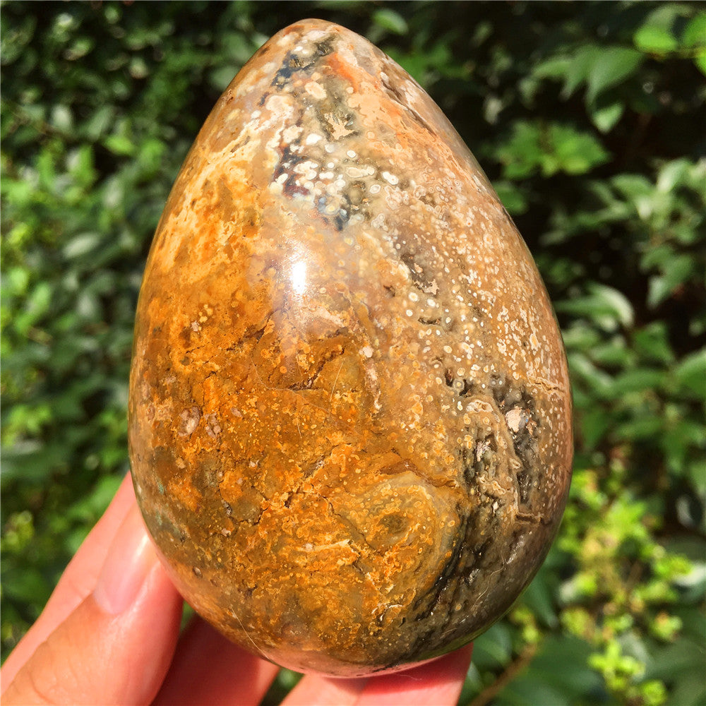 602G  Crystal carved egg of Ocean Jasper F5