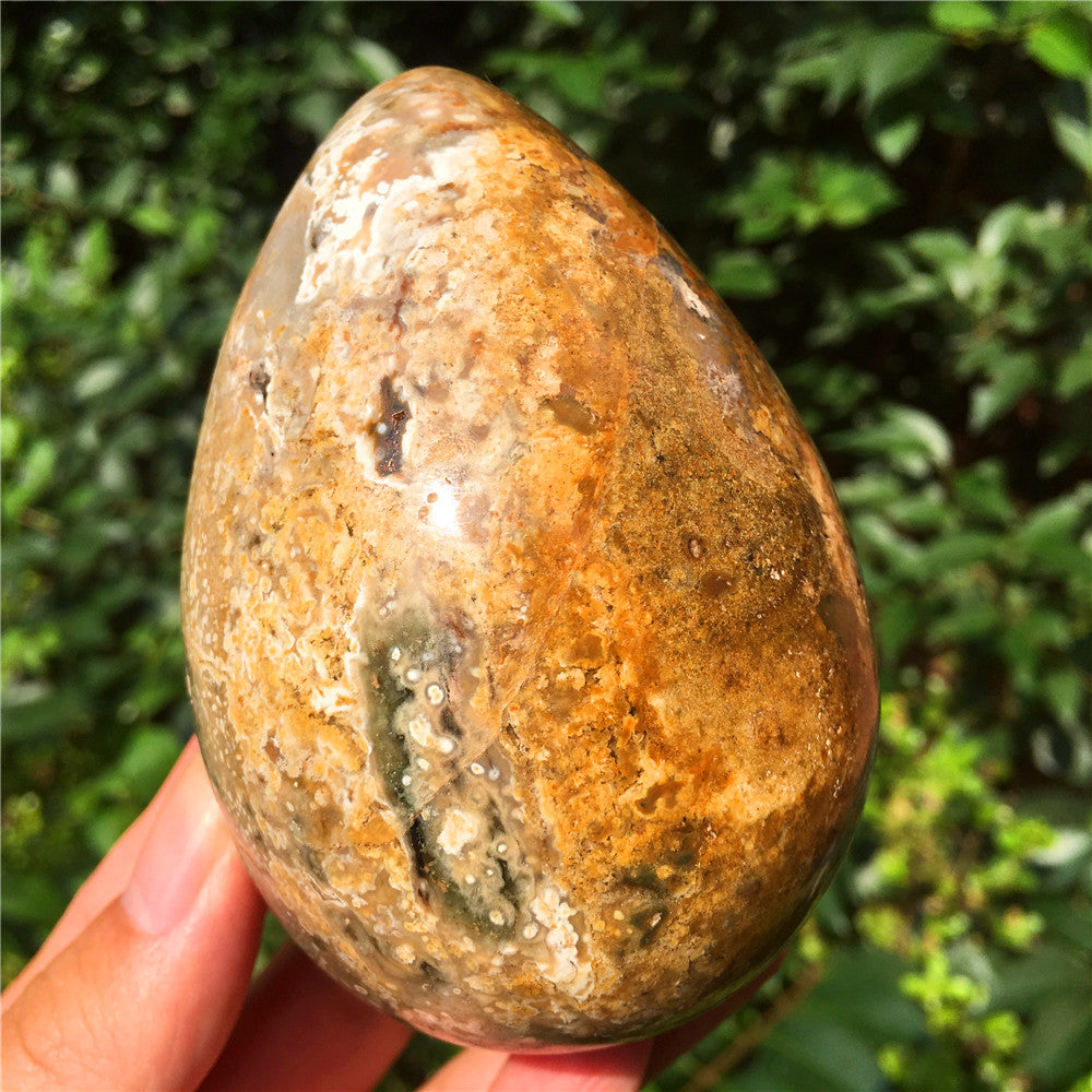 602G  Crystal carved egg of Ocean Jasper F5