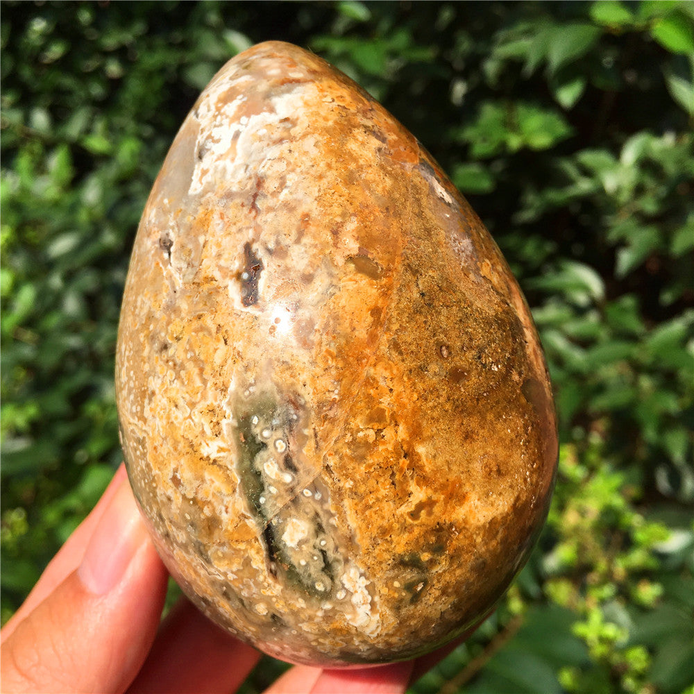 602G  Crystal carved egg of Ocean Jasper F5