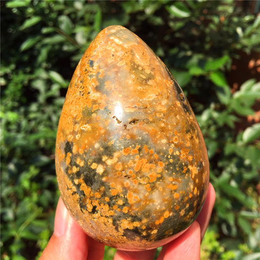 440G  Crystal carved egg of Ocean Jasper  F6