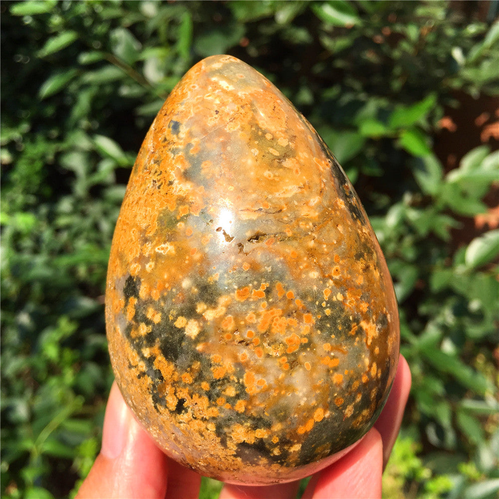440G  Crystal carved egg of Ocean Jasper  F6
