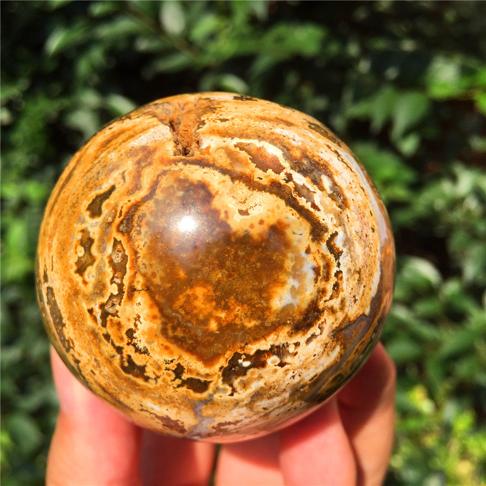 390G  Crystal carved egg of Ocean Jasper  F16