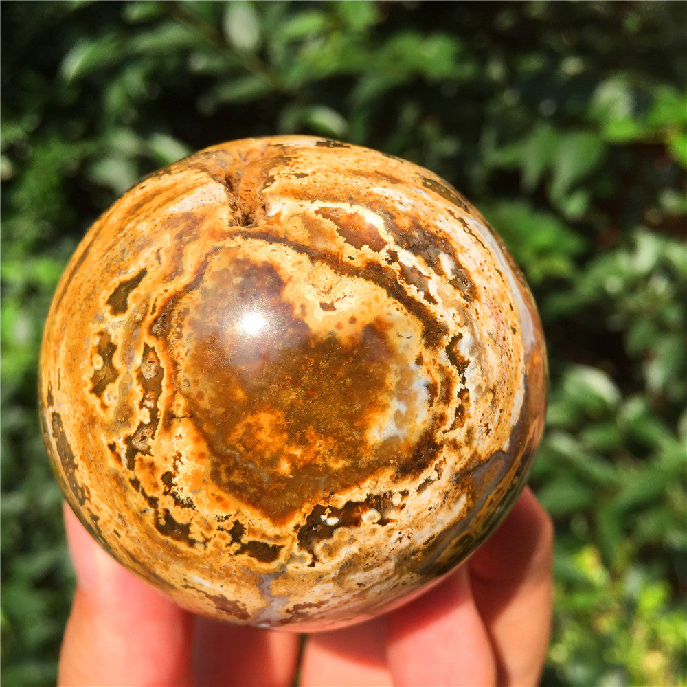 390G  Crystal carved egg of Ocean Jasper  F16