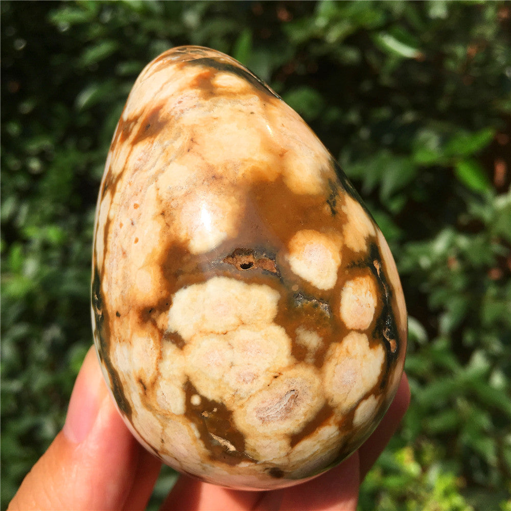 308G  Crystal carved egg of Ocean Jasper  F14