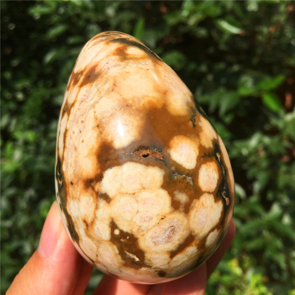 308G  Crystal carved egg of Ocean Jasper  F14