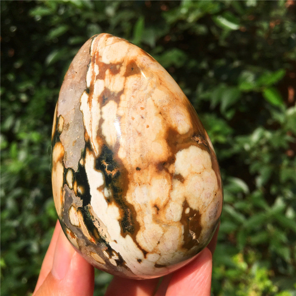 308G  Crystal carved egg of Ocean Jasper  F14