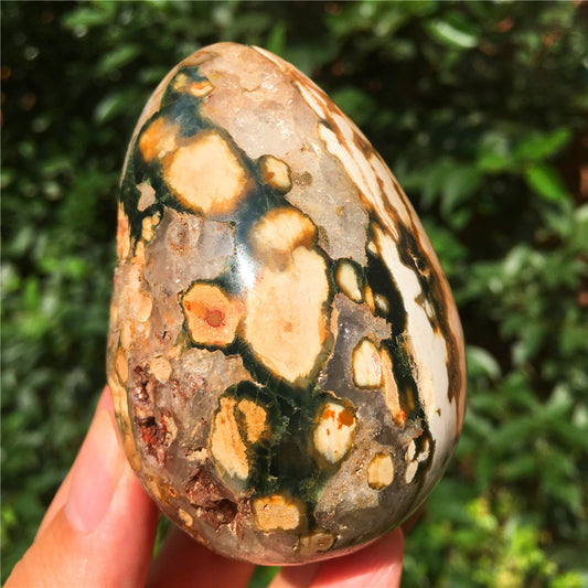 308G  Crystal carved egg of Ocean Jasper  F14
