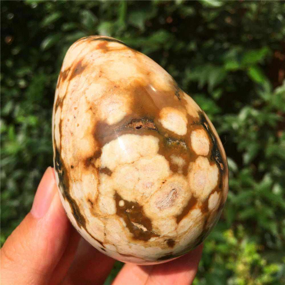 308G  Crystal carved egg of Ocean Jasper  F14