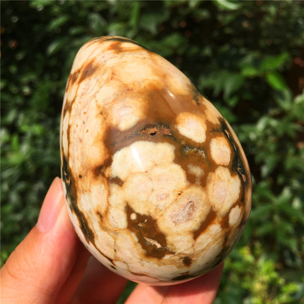 308G  Crystal carved egg of Ocean Jasper  F14