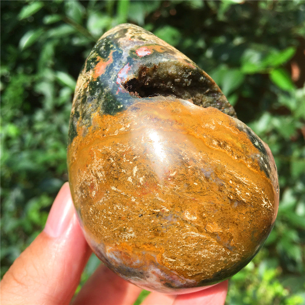 323G  Crystal carved egg of Ocean Jasper  F4
