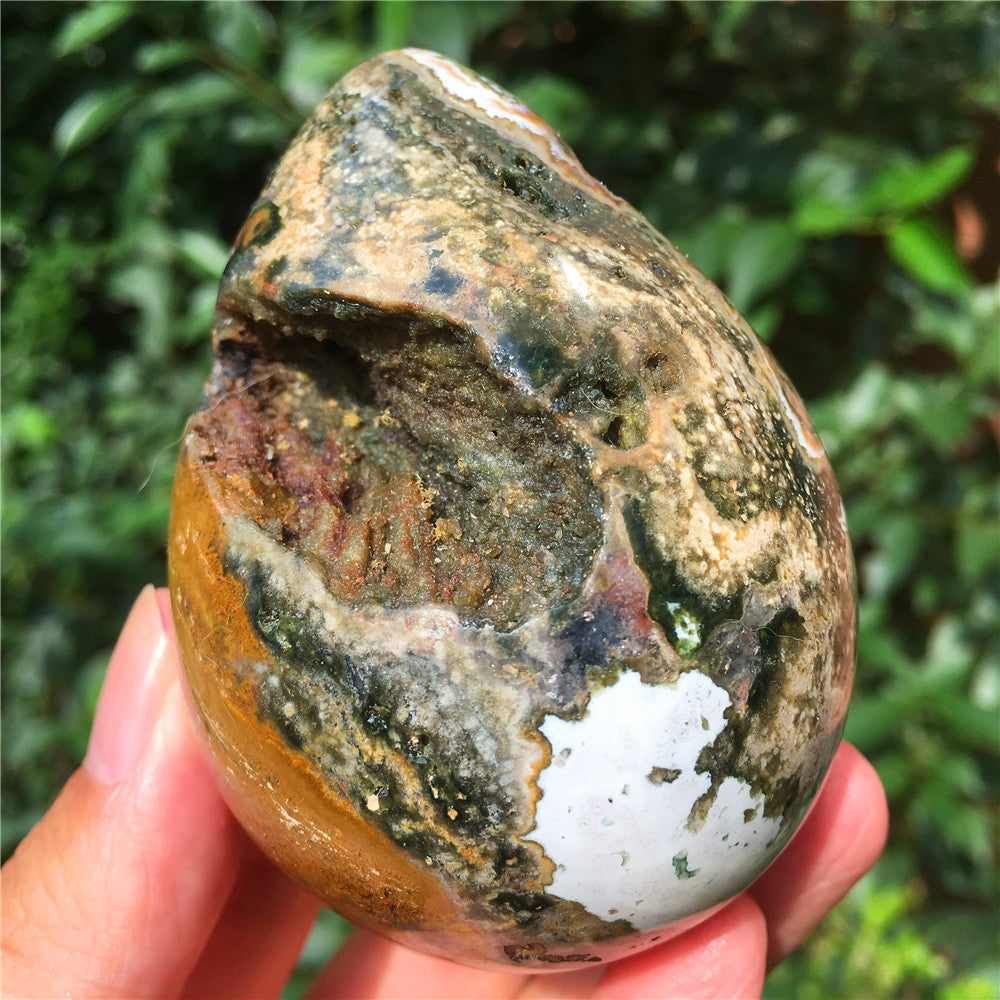 323G  Crystal carved egg of Ocean Jasper  F4