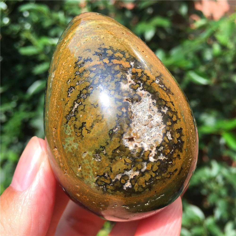 324G  Crystal carved egg of Ocean Jasper  F10