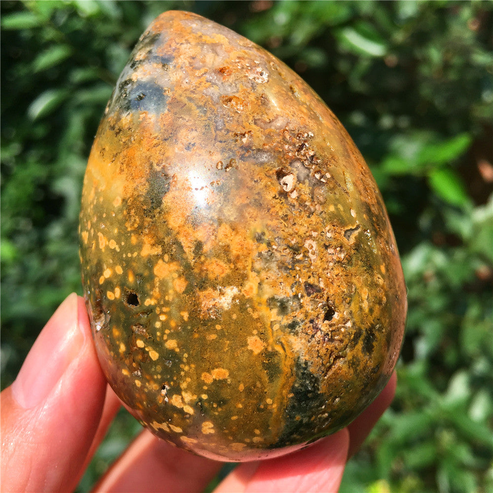 237G  Crystal carved egg of Ocean Jasper  F17